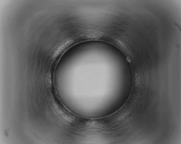X0000103230634200809041025