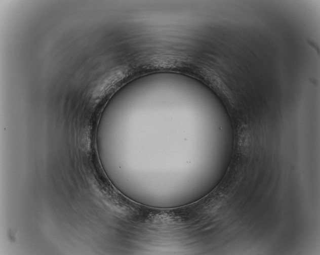 X0000103230635200809041025