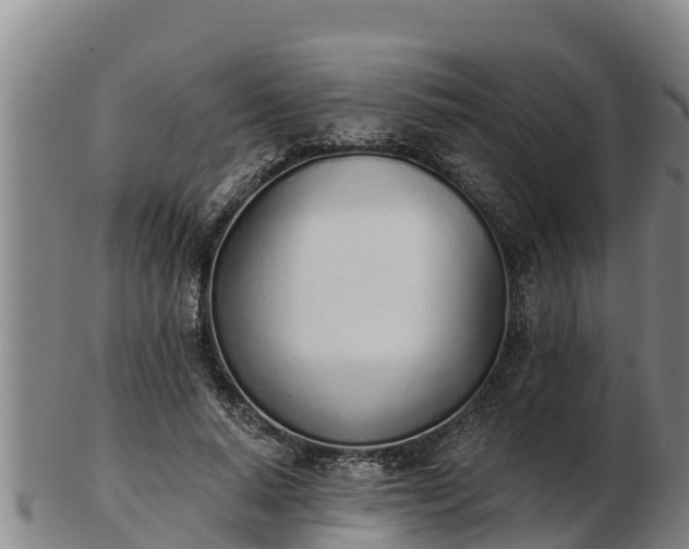 X0000103230640200809041025
