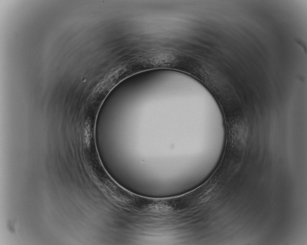X0000103230644200809041025