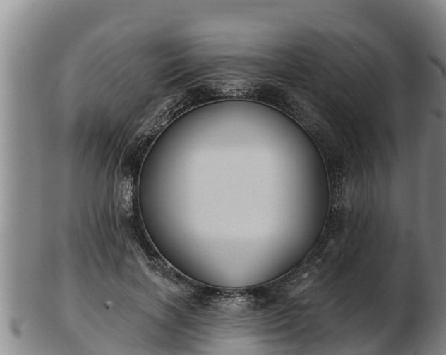 X0000103230646200809041025