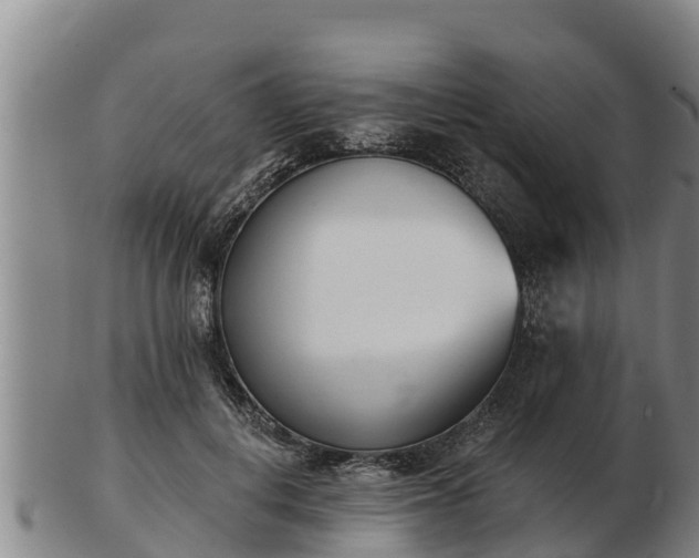 X0000103230648200809041026