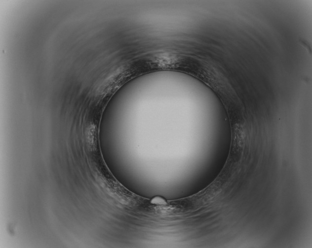 X0000103230650200809041026