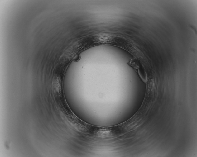 X0000103230651200809041026