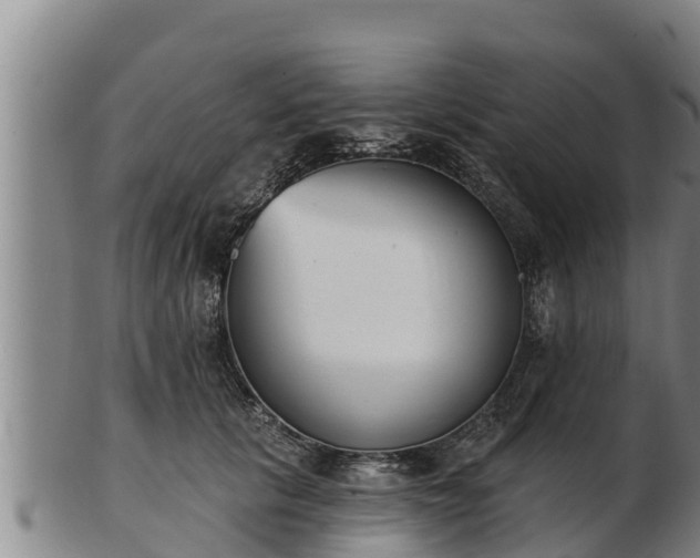 X0000103230657200809041026