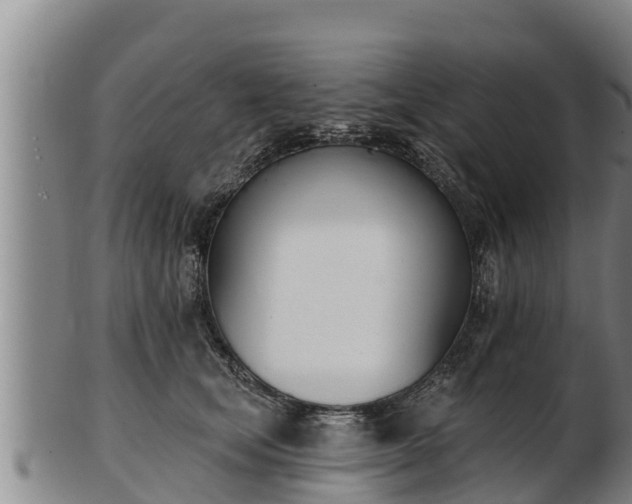 X0000103230659200809041026