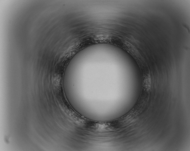X0000103230662200809041026