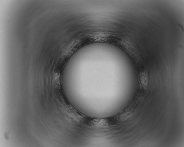 X0000103230667200809041026