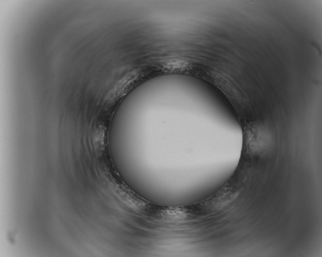 X0000103230668200809041026