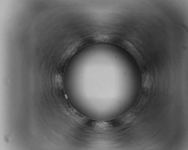 X0000103230669200809041026