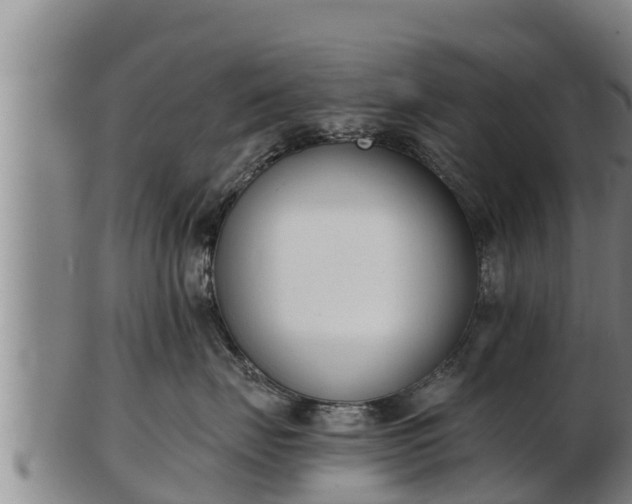 X0000103230671200809041026