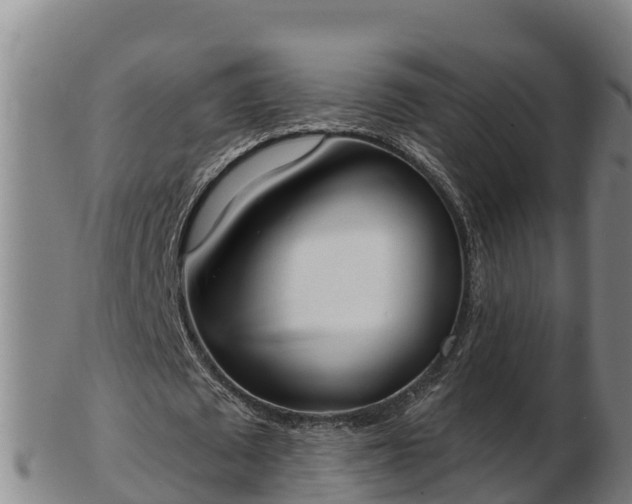 X0000103230673200809041025