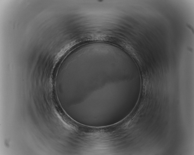 X0000103230674200809041025