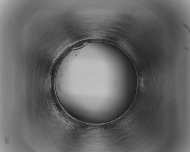X0000103230676200809041025