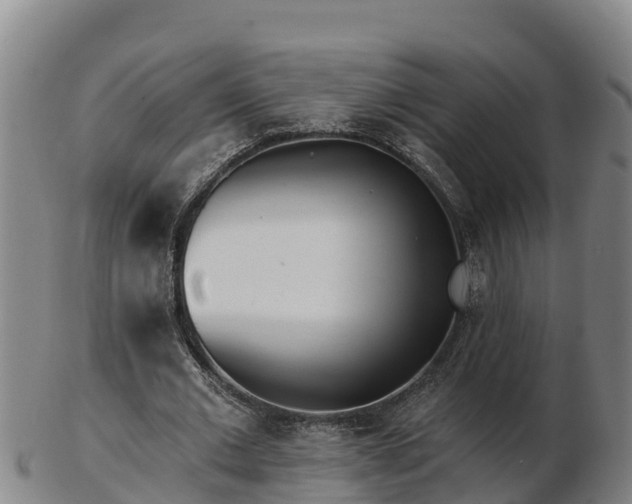 X0000103230677200809041025