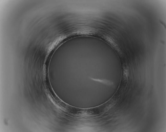 X0000103230678200809041025