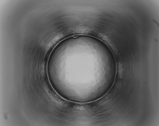 X0000103230679200809041025