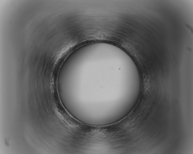 X0000103230680200809041025