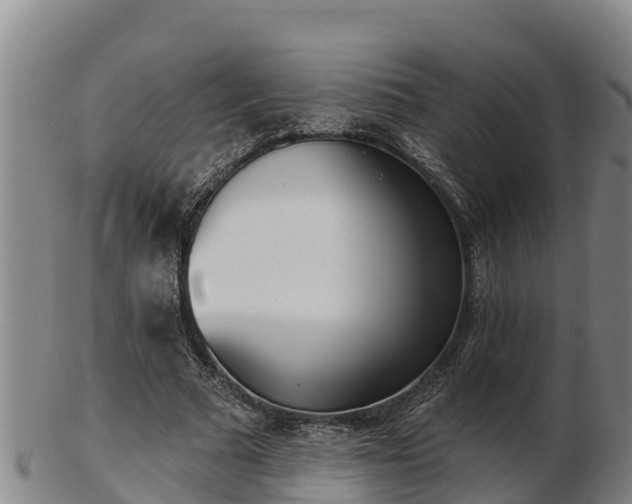 X0000103230681200809041025