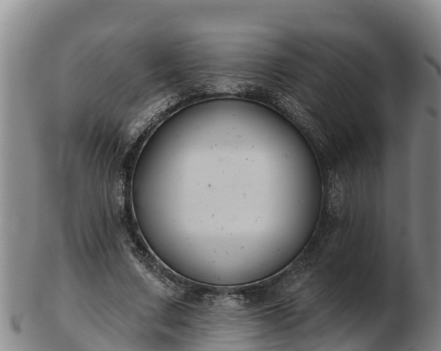 X0000103230683200809041025