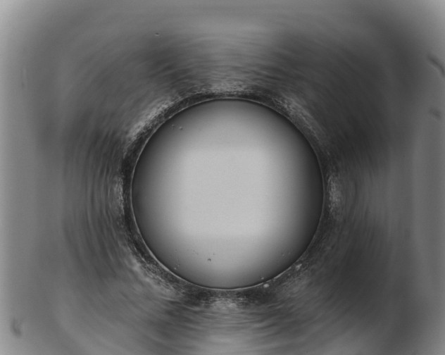 X0000103230684200809041025
