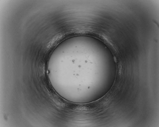 X0000103230685200809041025