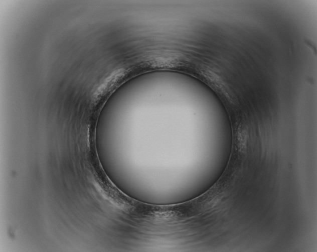 X0000103230686200809041025