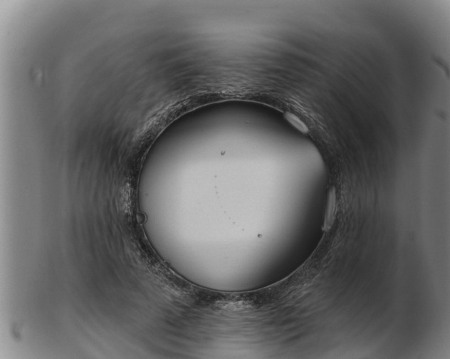 X0000103230689200809041025