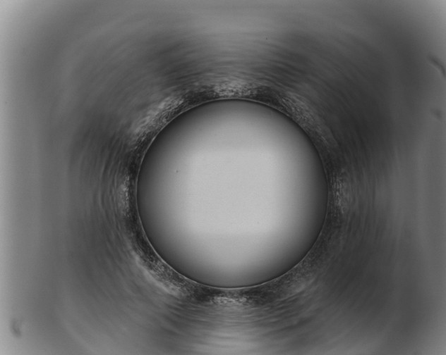 X0000103230690200809041025