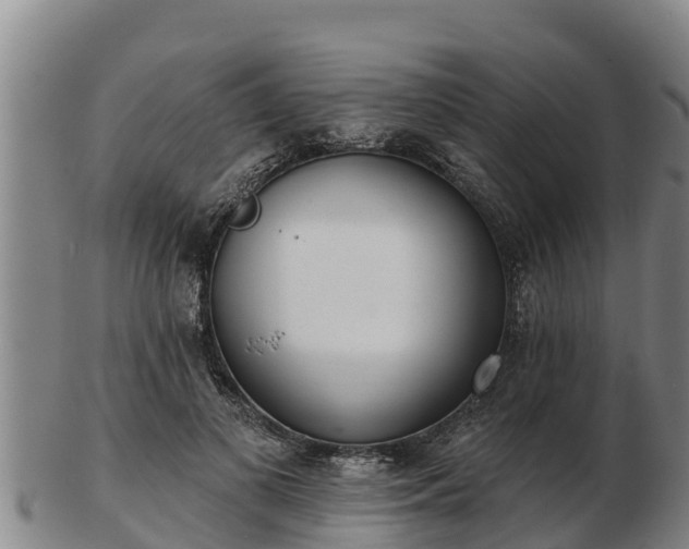X0000103230693200809041025