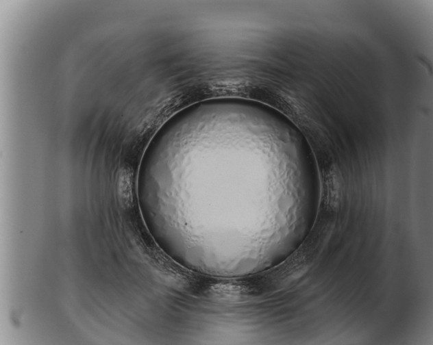 X0000103230699200809041025