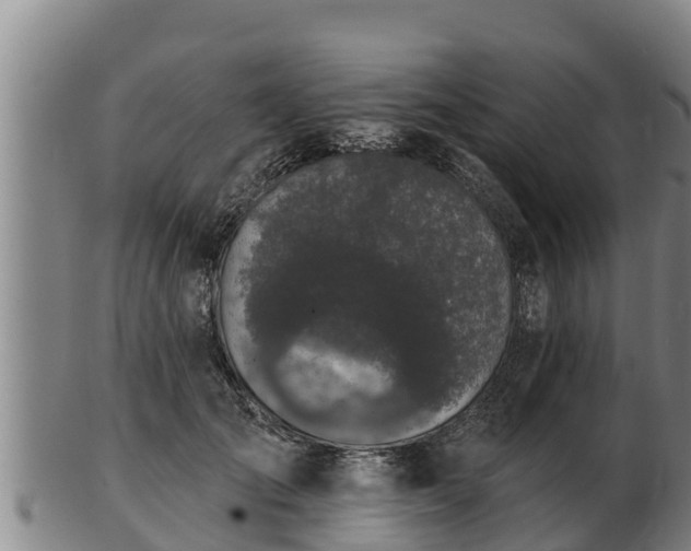X0000103230701200809041025