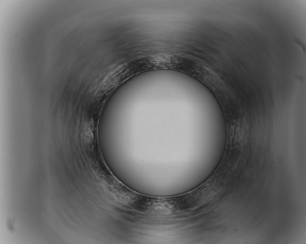X0000103230702200809041025