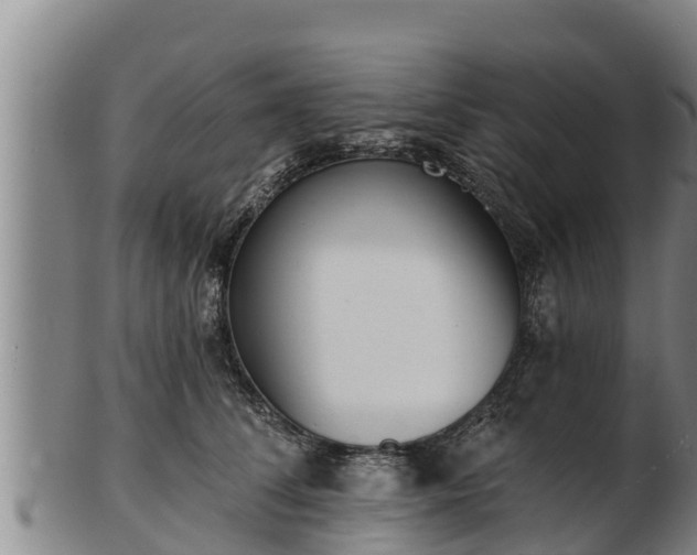 X0000103230708200809041025