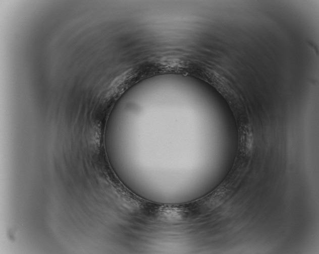 X0000103230710200809041025