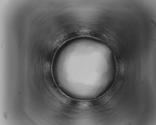 X0000103230711200809041025