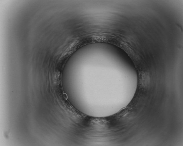 X0000103230712200809041025