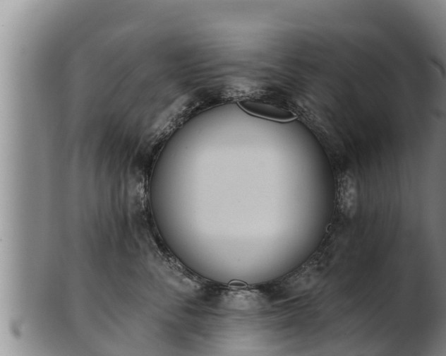 X0000103230716200809041025