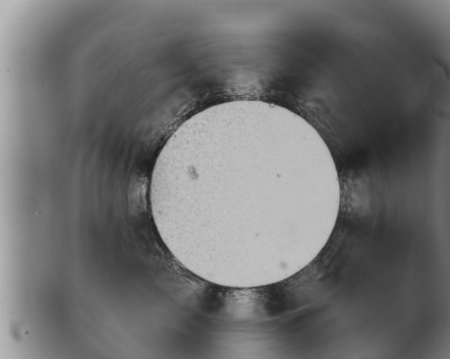 X0000103230717200809041025
