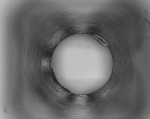 X0000103230720200809041025
