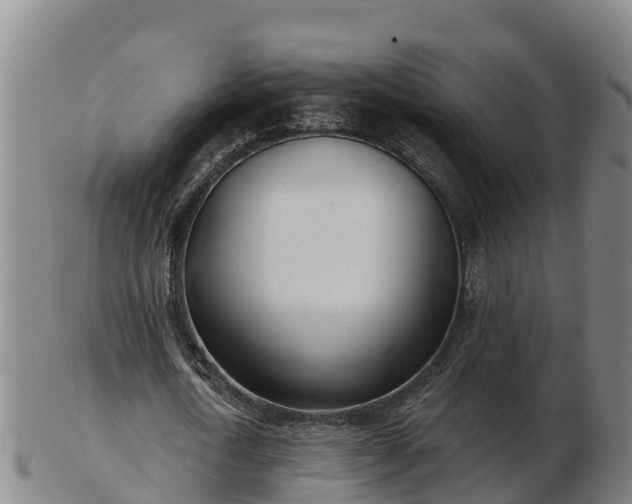 X0000103230722200809041024
