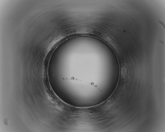 X0000103230724200809041024