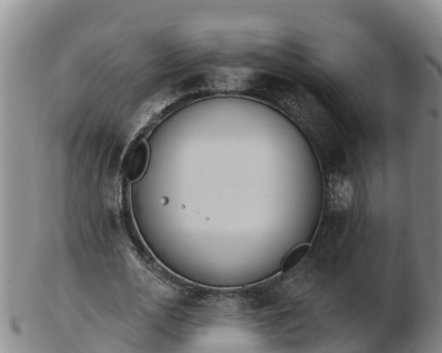 X0000103230726200809041024