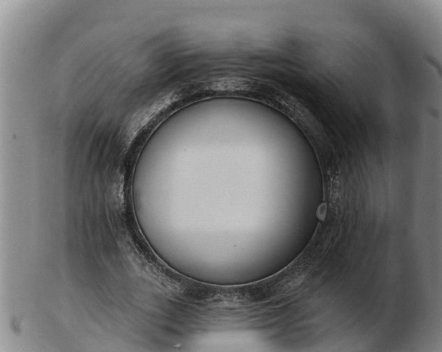 X0000103230727200809041024