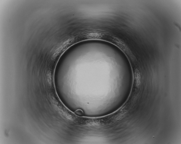 X0000103230729200809041024
