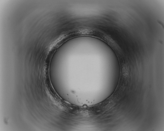 X0000103230730200809041024