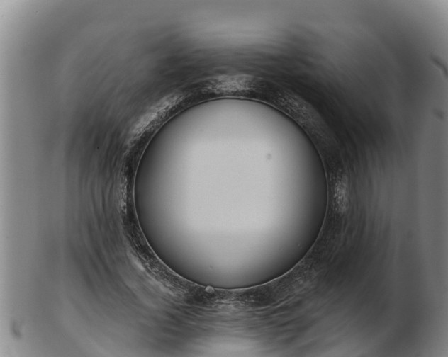 X0000103230732200809041024