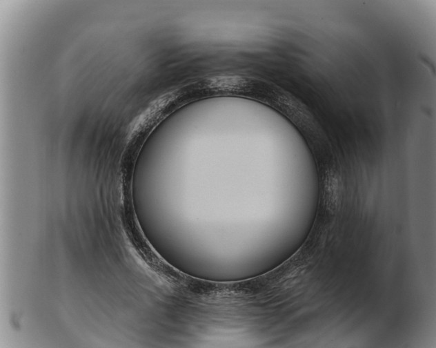 X0000103230734200809041024