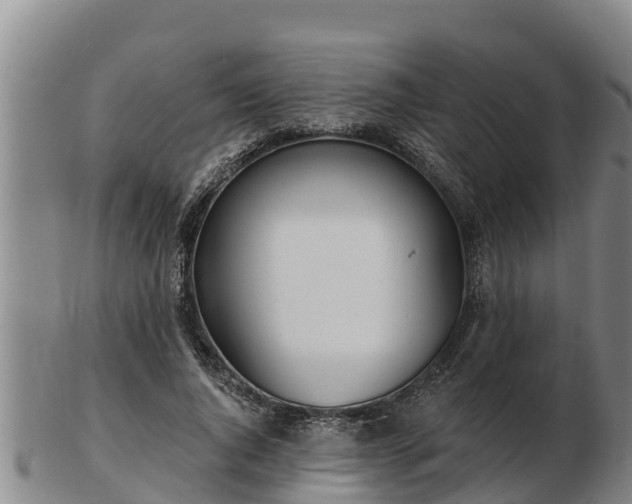X0000103230736200809041024