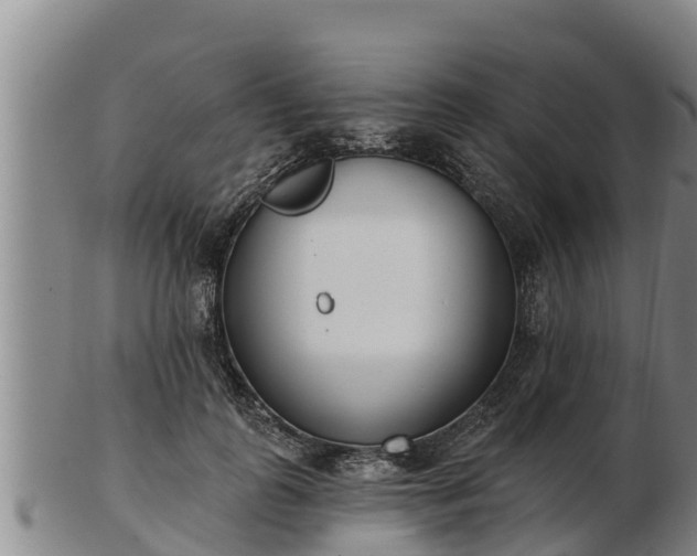 X0000103230747200809041024